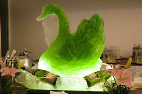 Cisne de hielo