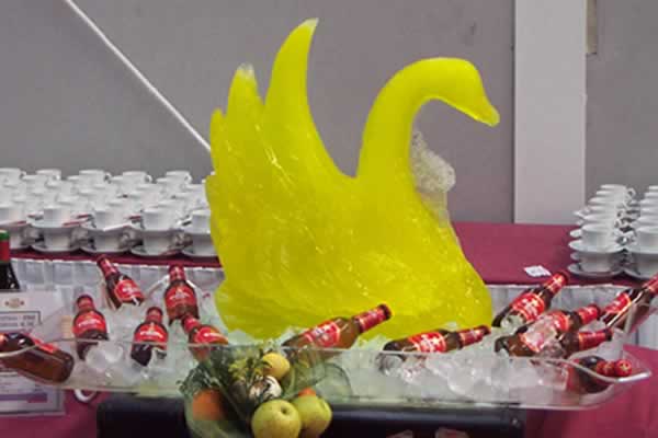 Cisne de hielo