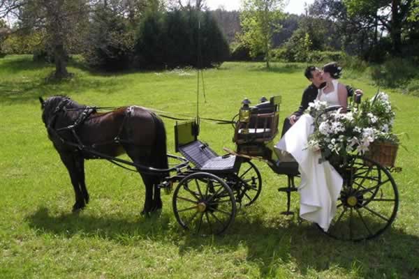 Alquiler de carruaje Faeton para servicio de boda